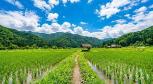 「土用」とは？春夏秋冬にある季節の変わり目のこと